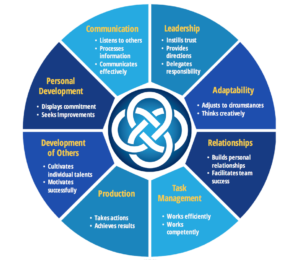 Manager Competency Reviews